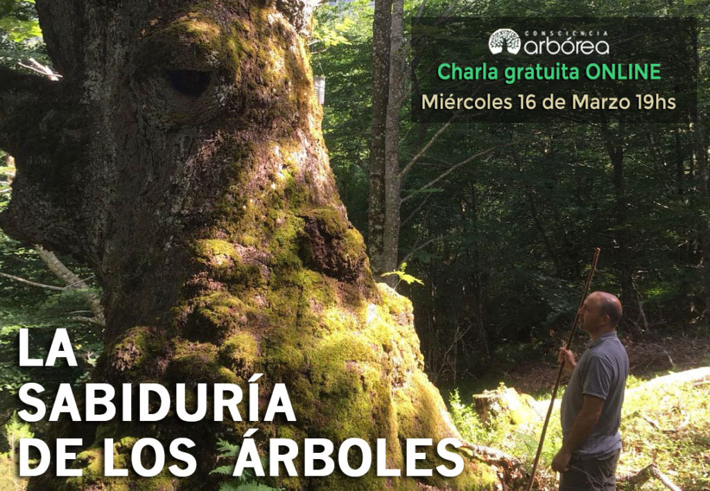 La sabiduría de los árboles Charla gratuita Online Consciencia Arbórea