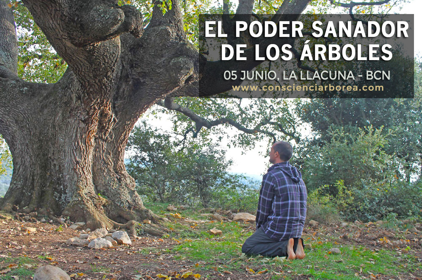 El Poder Sanador de los Árboles - La Llacuna - Barcelona - Consciencia  Arbórea