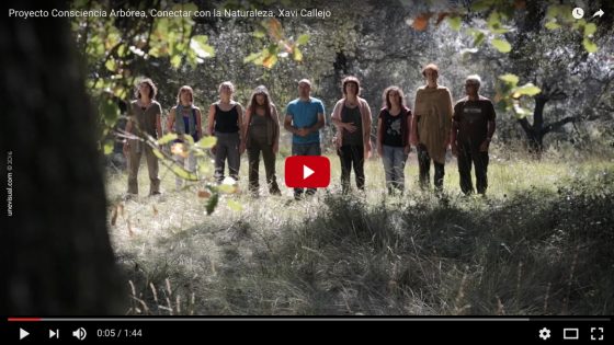 sVideo del Proyecto Consciencia Arbórea, restaura tu vínculo con la Naturaleza
