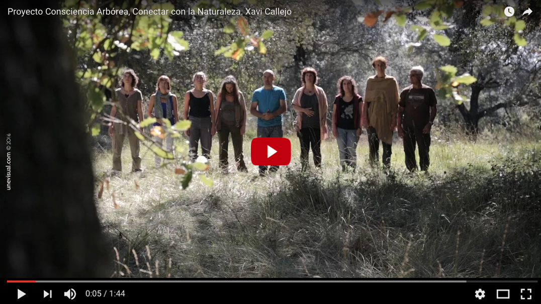 sVideo del Proyecto Consciencia Arbórea, restaura tu vínculo con la Naturaleza